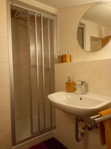 a bathroom with a shower and a sink and a mirror at Ferienwohnung Schmid-Hof in Oberwössen