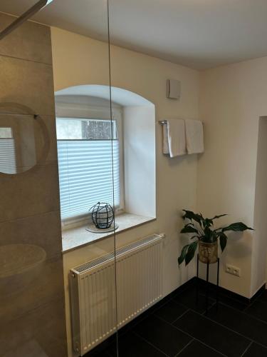 a bathroom with a shower with a window and a plant at Ferienwohnung II Beck-Bräu nahe Bamberg in Lisberg
