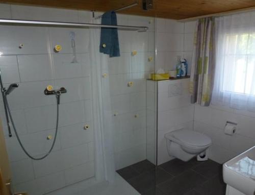 a bathroom with a shower and a toilet at Neuegg in Lütisburg