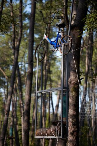 a bike is on a stand next to a tree at Paragraph Resort & Spa Shekvetili, Autograph Collection in Shekvetili