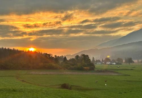 a sunset in a field with cows in a field at FeWo Berk in Kühnburg