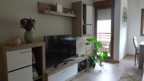 a living room with a flat screen tv on a wooden entertainment center at Peñas de Arnedillo in Arnedillo