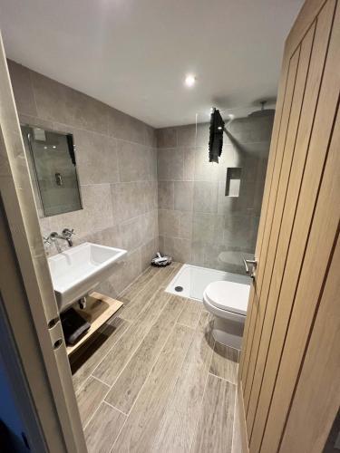 a bathroom with a white toilet and a sink at Oystercatcher in Fowey