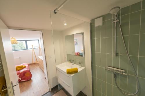 uma casa de banho com um lavatório e um chuveiro em WELCOME LOFT em Saint-Étienne