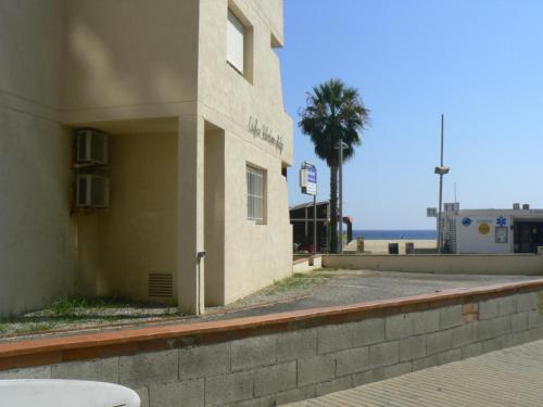 a building with a palm tree in front of the ocean at Valentina Platja in Sant Antoni de Calonge