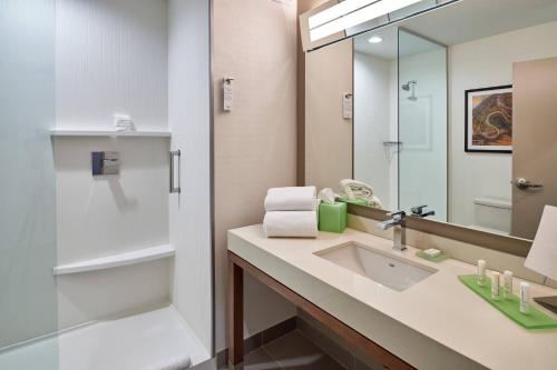 a bathroom with a sink and a mirror at Courtyard By Marriott El Paso Downtown/Convention Center in El Paso