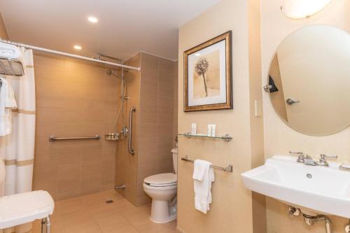 a bathroom with a shower toilet and a sink at Ottawa Marriott Hotel in Ottawa