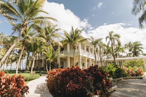 dom na plaży z palmami w obiekcie St. Regis Bahia Beach Resort, Puerto Rico w mieście Rio Grande