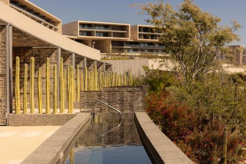 Fotografie z fotogalerie ubytování Solaz, a Luxury Collection Resort, Los Cabos v destinaci San José del Cabo