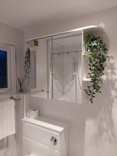 a white bathroom with a toilet and a mirror at Private Garden Lodge in Christchurch, Dorset for 4 - dogs welcome! in Holdenhurst