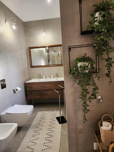 a bathroom with a toilet and a sink at Apartments Mary Rustic Studio in Novigrad Istria