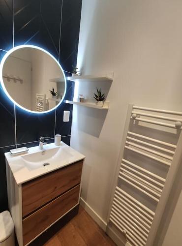 une salle de bain avec un lavabo et un miroir dans l'établissement Annecy vieille ville, superbe appartement au calme, à Annecy