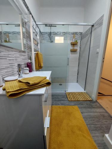 uma casa de banho com um chuveiro com um lavatório e uma cabina de duche em vidro. em L'Appartement Gabriel T2 em Bergerac