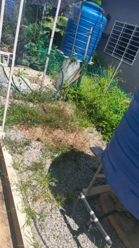 a chair sitting in the grass next to a building at D Fahmi Homestay in Tuaran