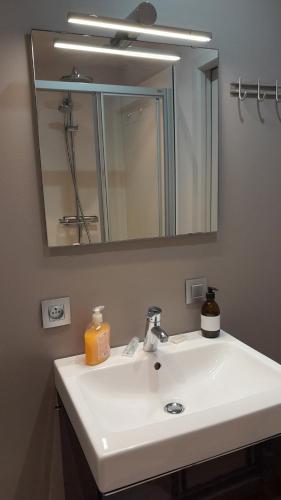 un bagno con un lavandino bianco e uno specchio di B & B Vandenbroucke Joseline a Ypres