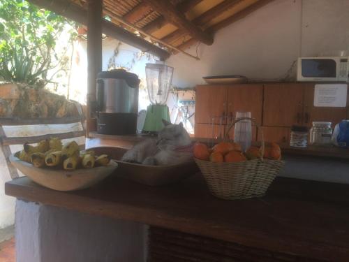 a cat laying on a counter with bowls of fruit at Tinto Hostel in Barichara