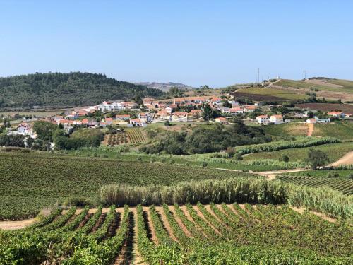 a vineyard on a hill with a village in the background at Pool oasis with private parking -Vigia 8 in Torres Vedras