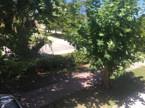 Taman di luar Pousada La Marea