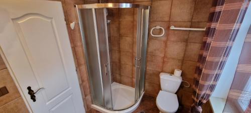 a bathroom with a shower and a toilet in it at Restaurant & Pension Liebenstein in Libá