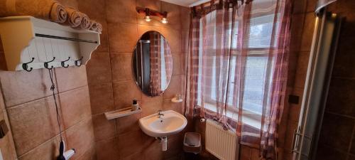 a small bathroom with a sink and a mirror at Restaurant & Pension Liebenstein in Libá