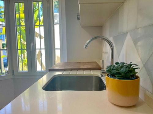 a kitchen sink with a potted plant on a counter at GATU PREMIUM Villa Mar de Arabia in El Puerto de Santa María