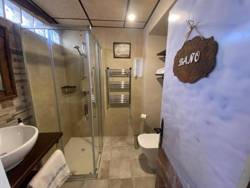 a bathroom with a shower and a sink and a toilet at El Géiser de Pozuelo in Pozuelo de Aragón