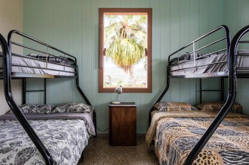a room with two bunk beds and a window at Cabin mountain view near Ponce slepts 8 in Ponce