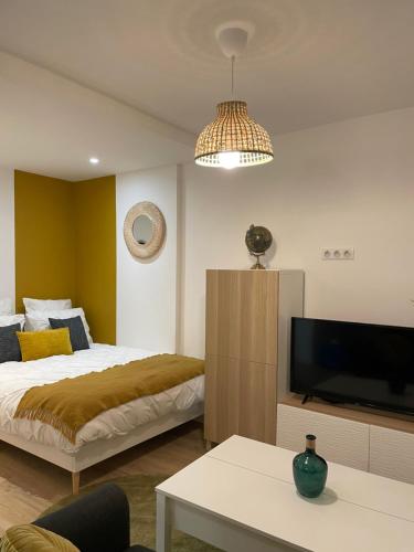 1 dormitorio con 1 cama y TV de pantalla plana en Superbe Studio Meublé - Houdan, en Houdan