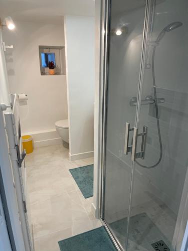 La salle de bains est pourvue d'une douche en verre et de toilettes. dans l'établissement Superbe Studio Meublé - Houdan, à Houdan