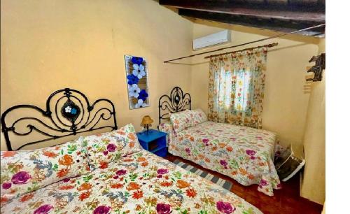 a bedroom with two beds and a window at Casa Rural Finca Paraíso. Heated pool in Vilaflor