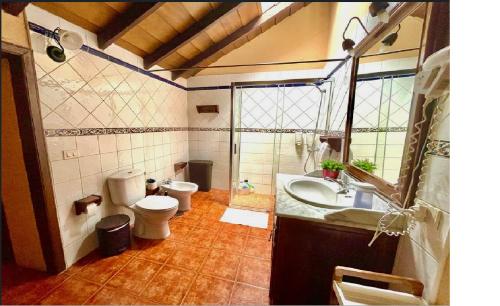 een badkamer met een toilet, een wastafel en een spiegel bij Casa Rural Finca Paraíso. Heated pool in Vilaflor