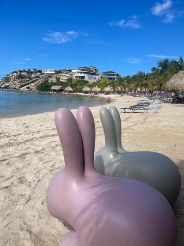 two plastic chairs sitting on the beach at Tip! Blue Bay Beachvilla 12 - Blue Bay Resort in Sint Michiel
