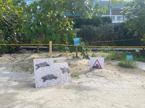 a field with signs in the sand next to a fence at Tip! Blue Bay Beachvilla 12 - Blue Bay Resort in Sint Michiel