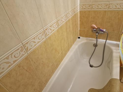 a bathroom with a bath tub with a shower at Mar Salgado Apartment in Armação de Pêra