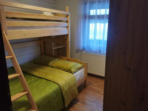 ein kleines Schlafzimmer mit einem Etagenbett und einer Leiter in der Unterkunft Cosy Forest in Kranjska Gora