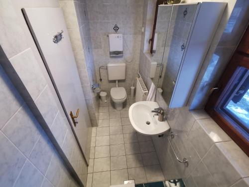 a bathroom with a toilet and a sink and a shower at Cosy Forest in Kranjska Gora