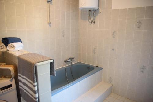 a bathroom with a blue bath tub in a room at Villa Claudia Lemon Appartment in Premantura