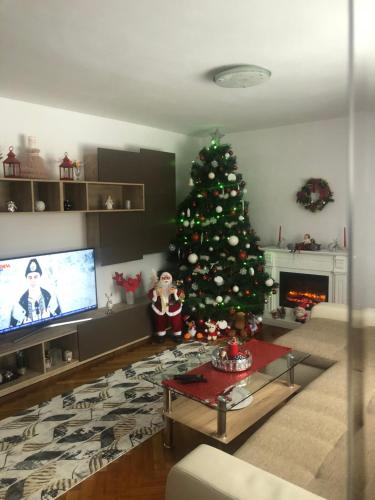 een woonkamer met een kerstboom en een tv bij Casa la Raisa in Lupeni