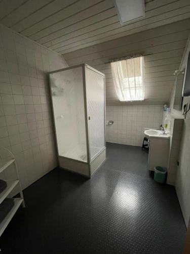 La salle de bains est pourvue d'une douche en verre et d'un lavabo. dans l'établissement FeWo Spoth - Rust/Europa-Park, à Rust