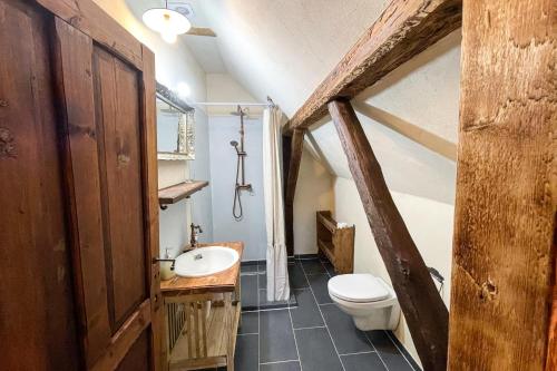 a bathroom with a sink and a toilet in a room at Michelsberger Haus in Cisnadioara