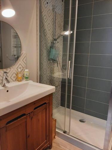une salle de bain avec un lavabo et une douche dans l'établissement Proche gare, cosy, courte et moyenne durée, à Bellegarde-sur-Valserine