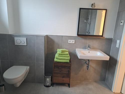 a bathroom with a sink and a toilet and a mirror at Ferienhaus Spreewaldliebe in Lübben