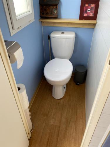 a bathroom with a white toilet in a blue wall at Louisiana in Anloo