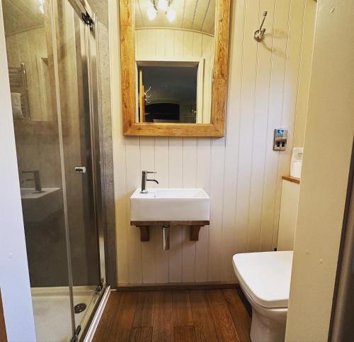 a bathroom with a sink and a toilet and a mirror at Bertie's Retreat in Foolow