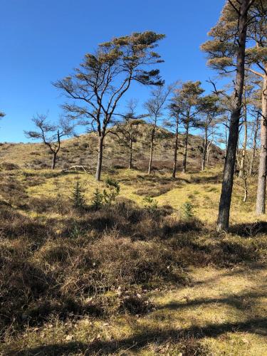 別荘の近くで見られる自然の景観