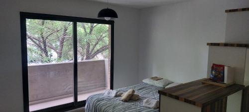 ein Schlafzimmer mit einem Bett und einem großen Fenster in der Unterkunft Alquiler Temporario Rosario 8 in Rosario