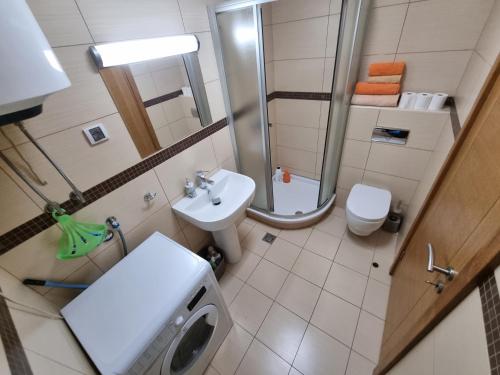 a small bathroom with a sink and a toilet at Renta Stanovi Podgorica in Podgorica