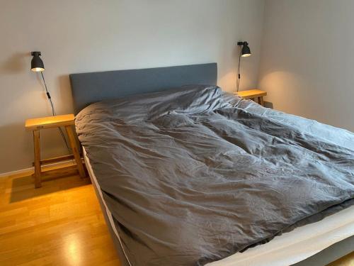a large bed in a bedroom with two lamps at Bijou in den Bergen in Disentis