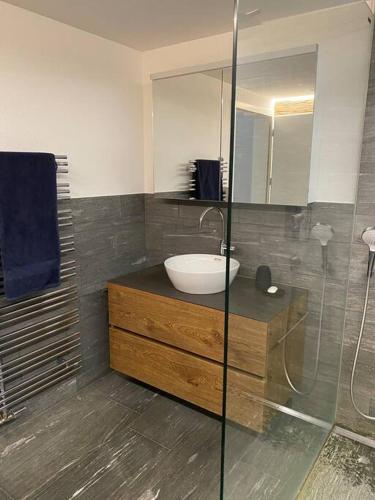 a bathroom with a sink and a glass shower at Bijou in den Bergen in Disentis
