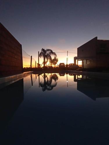 a reflection of a palm tree in a pool of water at Casa in Estación Ramallo